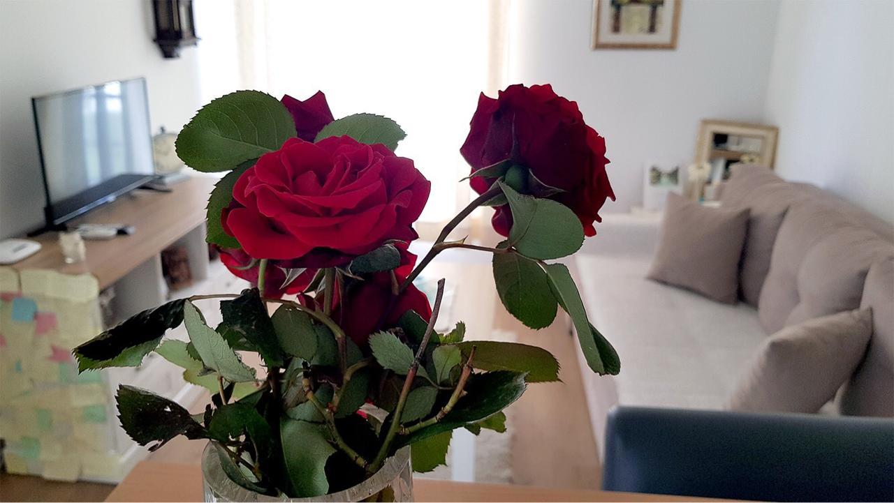 Happy Apartments موستار المظهر الخارجي الصورة